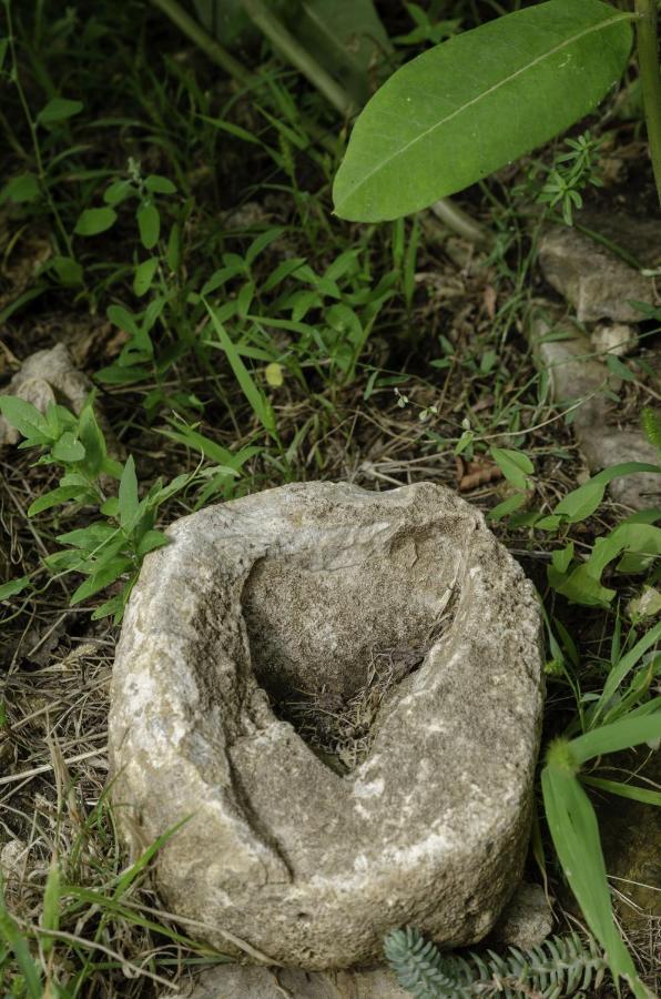 Egrelato Vendeghaz Apartment Balatonakali Bagian luar foto